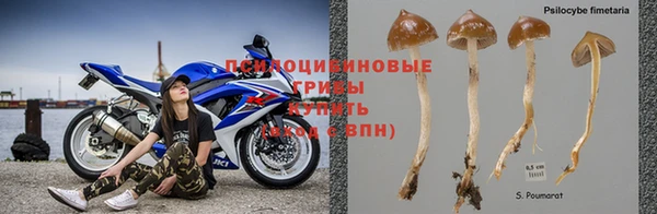 jwh Алзамай