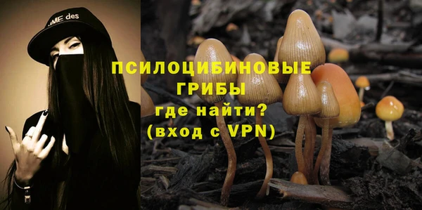 jwh Алзамай